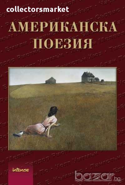 Американска поезия, снимка 1