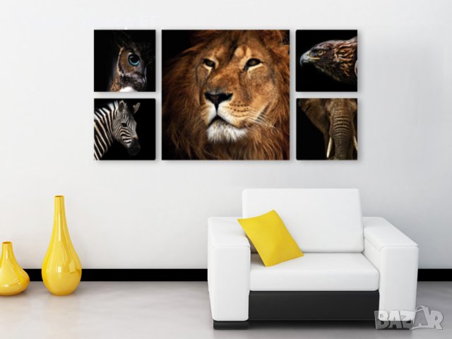 КАРТИНА ДИВИ ЖИВОТНИ 5 ЧАСТИ 