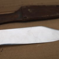 Европейски ловен нож ''Acila Inox'', снимка 8 - Ножове - 42641052