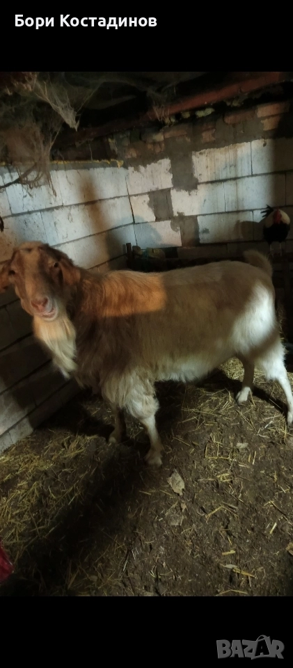 ПРОДАВАМ ПРЪЧ, снимка 1