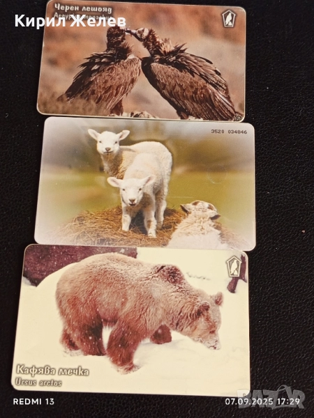 Три фонокарти тема ЖИВОТНИ ЧЕРЕН ЛЕШОЯД,КАФЯВА МЕЧКА за КОЛЕКЦИЯ 12011, снимка 1
