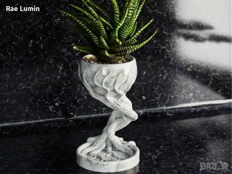 Саксия – пълзящи корени, снимка 1