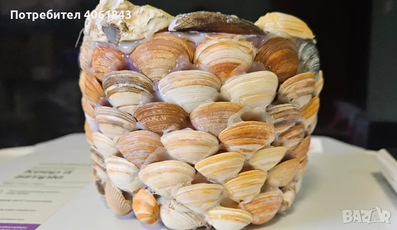 декорация с миди , снимка 1