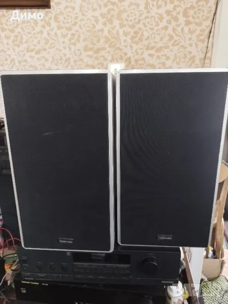 Тонколони Toshiba, снимка 1