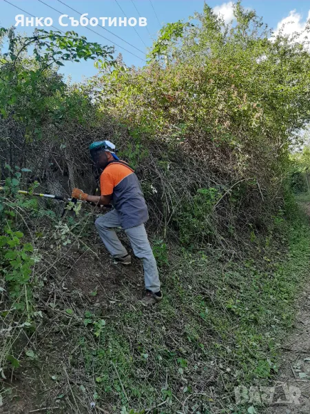 ПОЧИСТВАНЕ НА ДВОРОВЕ, ПАРЦЕЛИ И ТЕРЕНИ В ОБЛАСТ БУРГАС, снимка 1