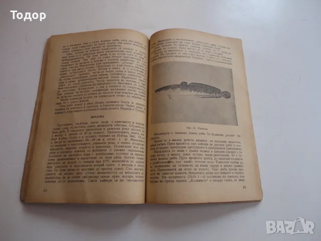Книга Риболов с въдица Николай Цанков , снимка 7 - Специализирана литература - 56241327