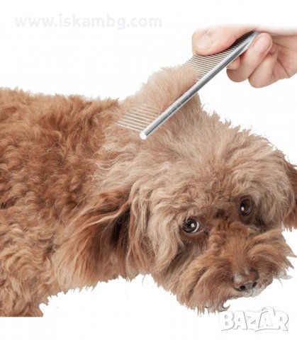 МЕТАЛЕН ГРЕБЕН ЗА РАЗРЕСВАНЕ НА КУЧЕТА И КОТКИ - код 2985, снимка 4 - Други стоки за животни - 33904423