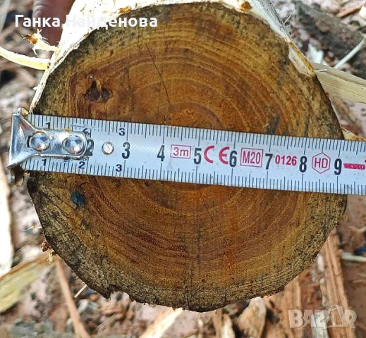 Дървени колове за ограда -здрави от акация с различни дължини, снимка 4 - Други стоки за дома - 54345278
