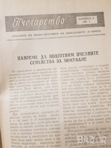 Списания Пчеларство 1958 г., снимка 7 - Антикварни и старинни предмети - 34984709