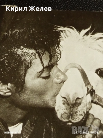 Стара рядка снимка картичка на ПОП ИКОНАТА Michael Jackson рядка за КОЛЕКЦИЯ 51168, снимка 3 - Колекции - 52143676