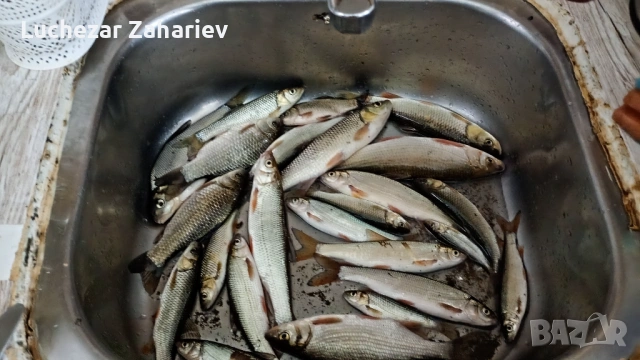 Продава къща в село Ласкар Плевенско, снимка 4 - Къщи - 53283431