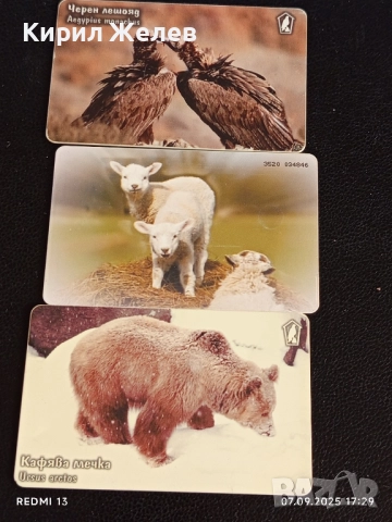 Три фонокарти тема ЖИВОТНИ ЧЕРЕН ЛЕШОЯД,КАФЯВА МЕЧКА за КОЛЕКЦИЯ 12011