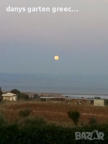 Къща "морската гледка при Илиа" в Неа Миханиона, Солун , снимка 17 - Почивки в Гърция - 53201398