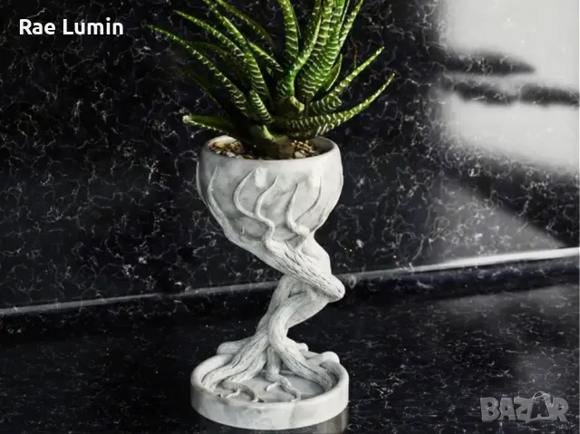 Саксия – пълзящи корени, снимка 1