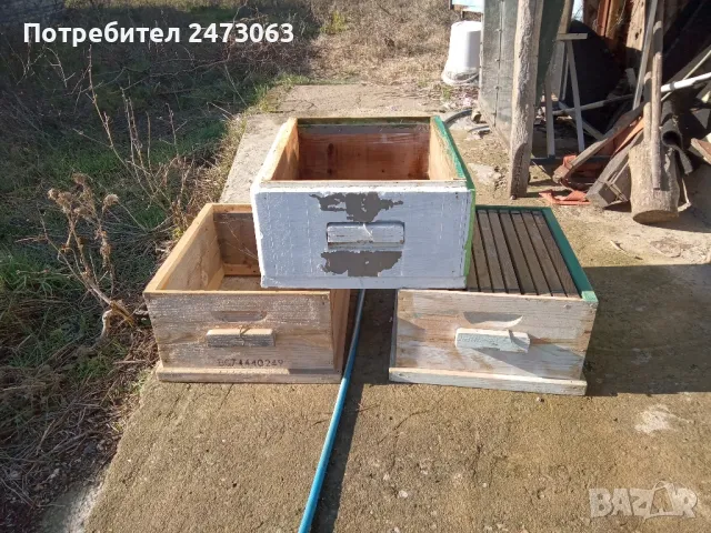 пчели, снимка 15 - За пчели - 48371094