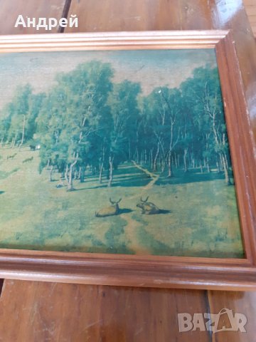 Стара картина #7, снимка 3 - Антикварни и старинни предмети - 31305685