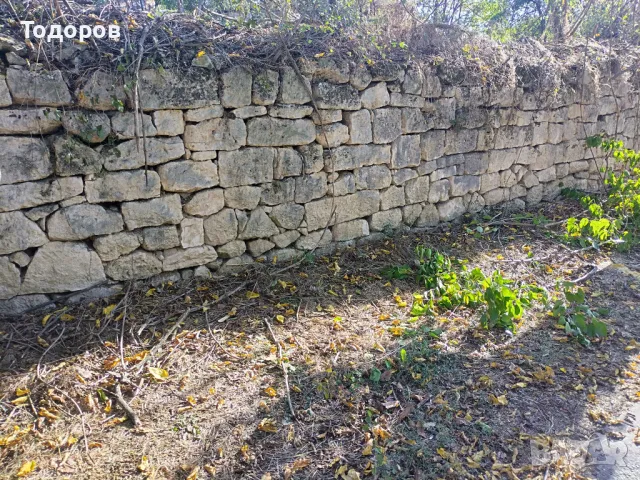 Дворно място в село Червен, обл. Русе, снимка 6 - Парцели - 47418980