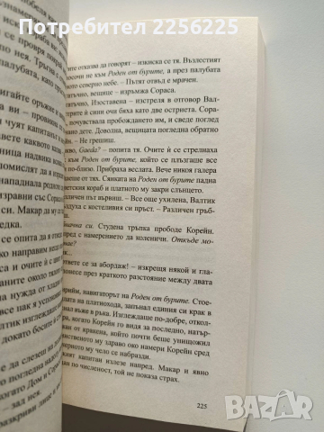 Унищожителят на меча, снимка 2 - Художествена литература - 53948312