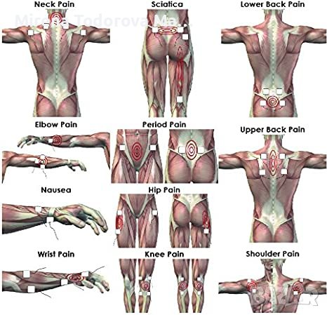 Вагинална, Анална, електродни подложки сонда Itouchsure сонда Itouchsure, снимка 3 - Медицинска апаратура - 37228701