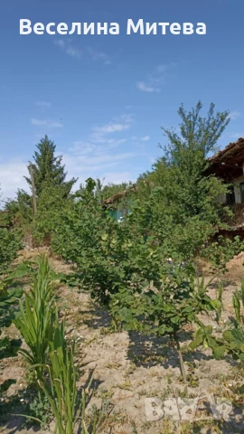 къща с градина, снимка 6 - Къщи - 51079570