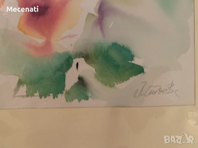 ПАОЛА СТОЕВА акварел натюрморт, снимка 4 - Картини - 53122589