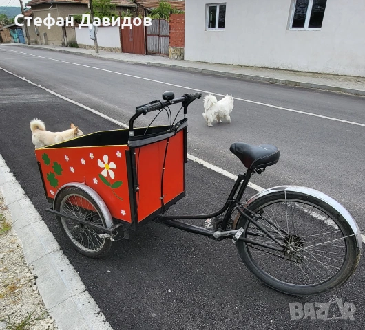 карго трайк