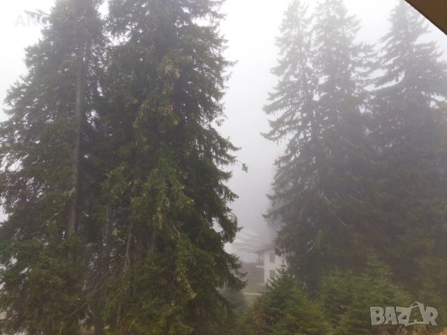 Продава двустаен апартамент в к.к. Пампорово , снимка 10 - Апартаменти - 52320641