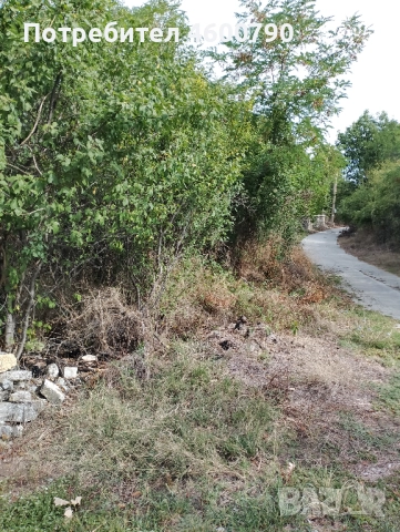 Парцел в рамките на село Кладни дял, община Велико Търново, снимка 2 - Парцели - 51786763