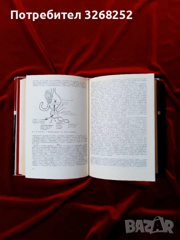 Учебник по Гастроентерология , снимка 5 - Учебници, учебни тетрадки - 53969956