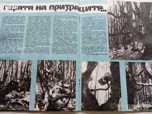 Списание "Защита на природата" - 1978 г.- брой 12 , снимка 4 - Списания и комикси - 36461023