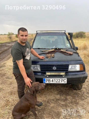 Малки курцхаари , снимка 6 - Курцхаар - 52939221