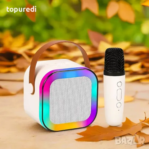 МИНИ КАРАОКЕ ТОНКОЛОНКА С МИКРОФОН, снимка 1