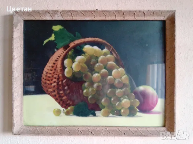 Ръчно оцветена българска фотокартина с грозде от 1981 г.