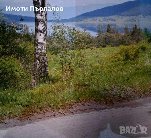 Парцел с панорамна гледка към язовир Батак – идеален за инвестиция, снимка 2 - Парцели - 54199754