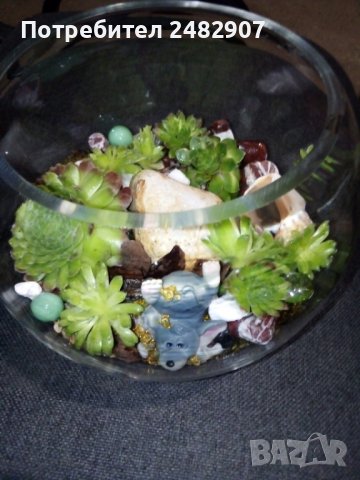 Сукуленти в стъкло, снимка 5 - Изкуствени цветя - 37678106