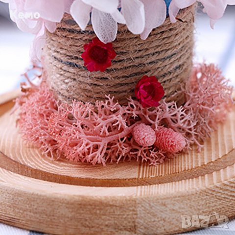 Вечна роза в похлупак, снимка 8 - Декорация за дома - 31886358