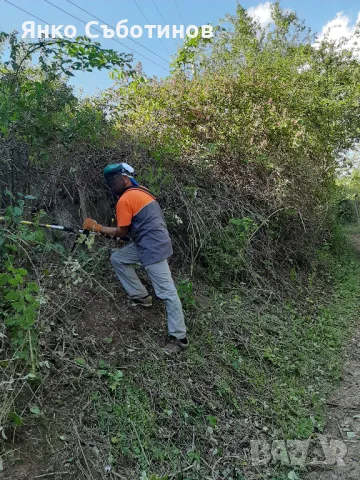 ПОЧИСТВАНЕ НА ДВОРОВЕ, ПАРЦЕЛИ И ТЕРЕНИ В ОБЛАСТ БУРГАС, снимка 1