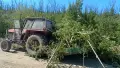 Мулчер / шредер , снимка 6