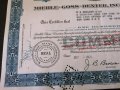 Сертификат за 100 акции (САЩ) | Miehle-Goss-Dexter Inc. (MGD) | 1964г., снимка 3