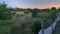 Къща с двор и двуетажна постройка в с. Ивановци, Видин, снимка 13