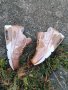 Оригинални маратонки  Nike Air Max 90 GS ‘Metallic Bronze’  номер 37,5-38, снимка 4