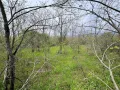 Парцел 907 кв.м. в Казанлък Вилна Зона "Стари Лозя" зад Художествената Гимназия , снимка 7