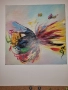 Картини пеперуди 40/40, 3 броя, снимка 2