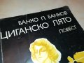ЦИГАНСКО ЛЯТО 1902230840, снимка 4