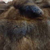 кожено палто, снимка 3 - Палта, манта - 44370370