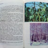 Албум за растения и животни - Н.Боев,С.Петров,П.Кръстев - 1976г., снимка 5 - Енциклопедии, справочници - 40616804
