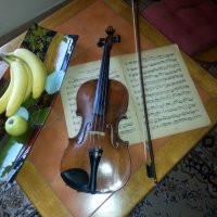 Уроци по цигулка, пиано и английски език