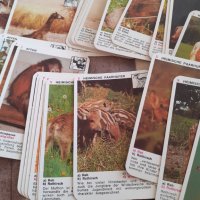 Стари карти за игра Piatnik, снимка 4 - Други ценни предмети - 30915718