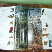 Животни. Animal: The Definitive Visual Guide, снимка 6 - Енциклопедии, справочници - 42162592