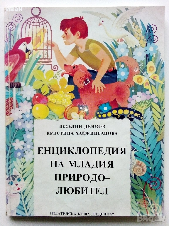 Енциклопедия на младия Природолюбител - В.Денков,К.Хаджииванова -  1992г., снимка 1